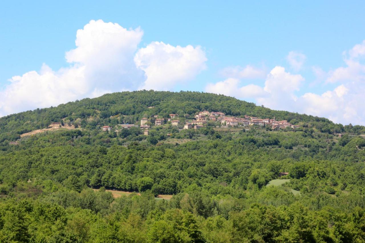 Agriturismo La Via Dell'Oliviera Ciciano Exterior photo